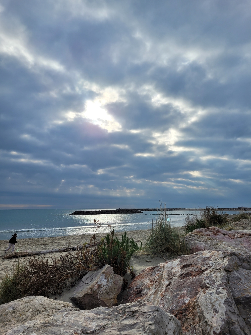 Lire la suite à propos de l’article Vœux 2026